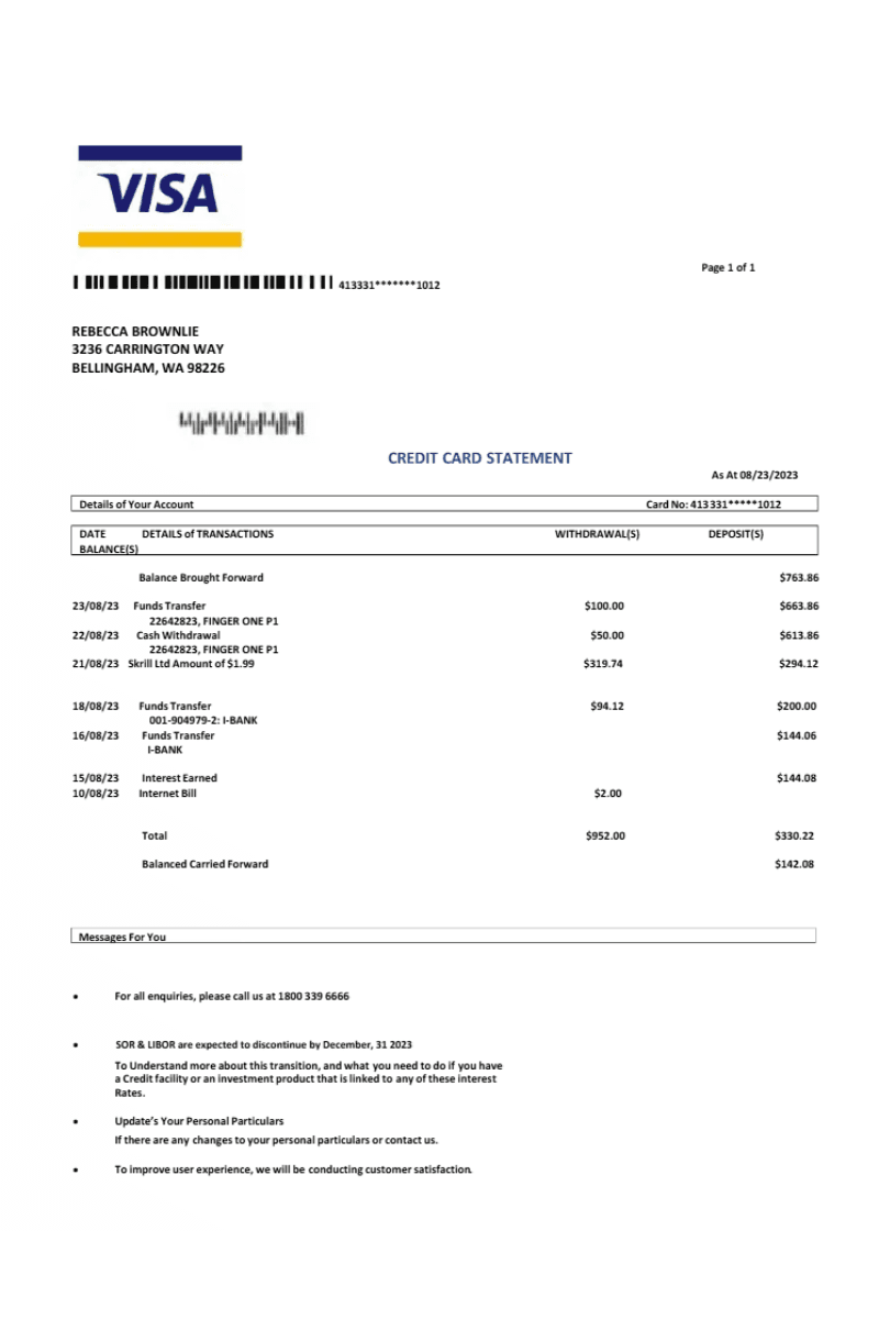 Visa credit card statement showing monthly transactions, merchant names, purchase amounts, and balance summary